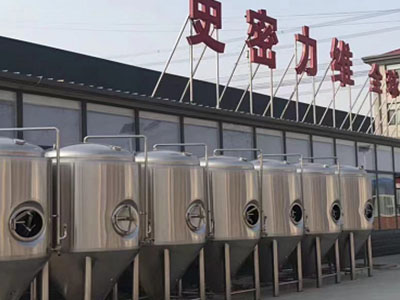 海盐精酿啤酒设备厂—如何判断精酿啤酒设备的密封件需要更换？